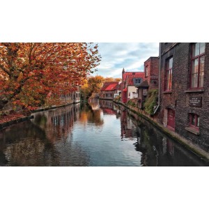 Αντιολισθητικό Πατάκι 50x85 Bruges 259 Dimcol