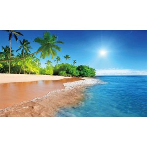 Αντιολισθητικό Πατάκι 50x85 Hawaii 257 Dimcol