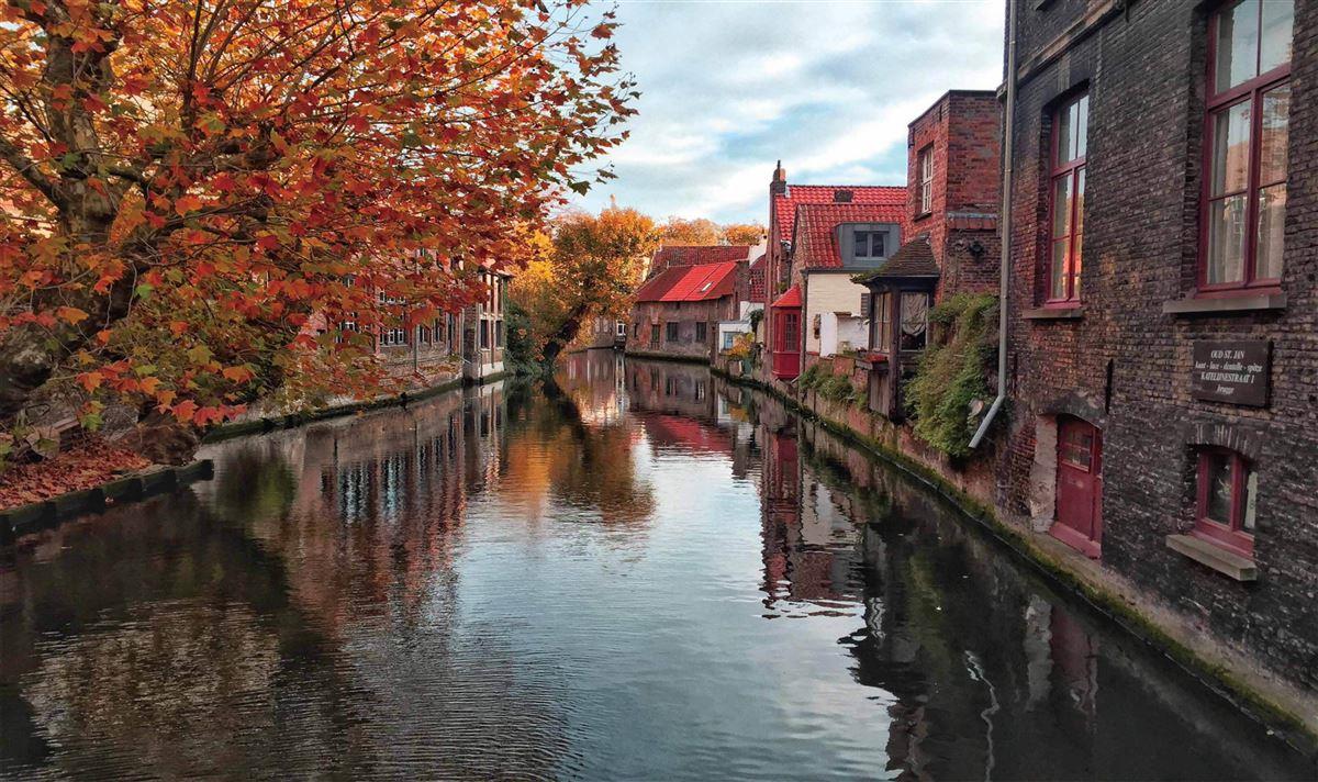 Αντιολισθητικό Πατάκι 50x85 Bruges 259 Dimcol